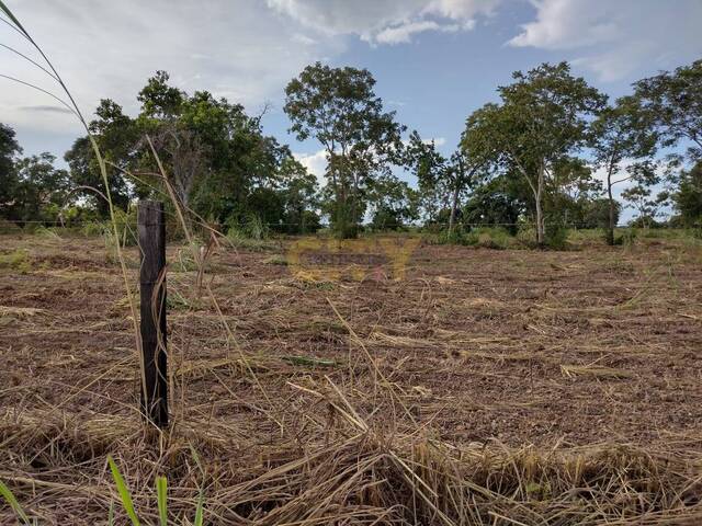 #1586 - Área para Venda em Santo Antônio do Leverger - MT - 3