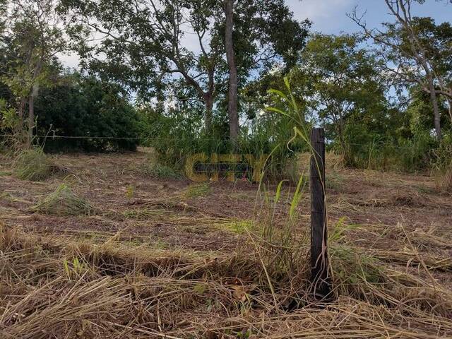 #1586 - Área para Venda em Santo Antônio do Leverger - MT - 2