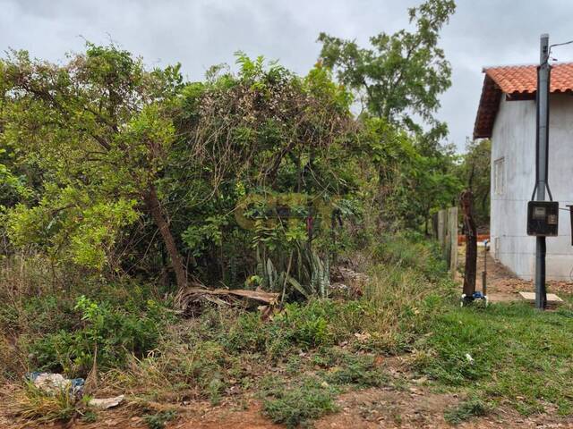 #1656 - Área para Venda em Chapada dos Guimarães - MT - 2