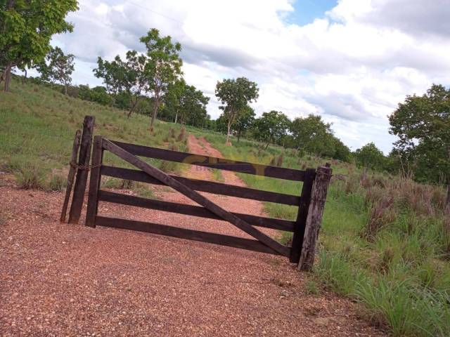 #1779 - Chácara para Venda em Nossa Senhora do Livramento - MT - 1