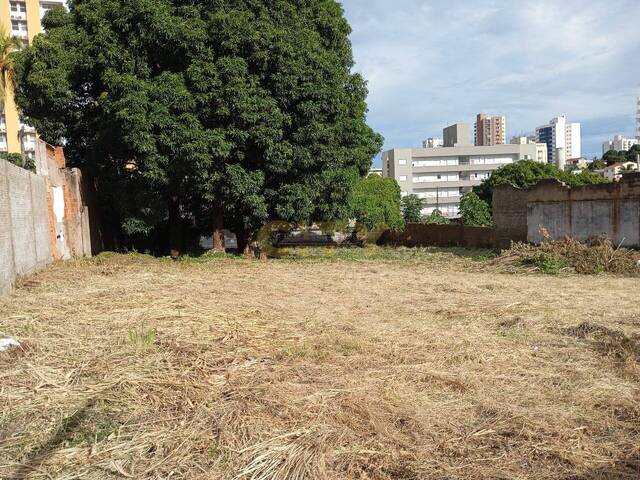 #1338 - Área para Venda em Cuiabá - MT - 3