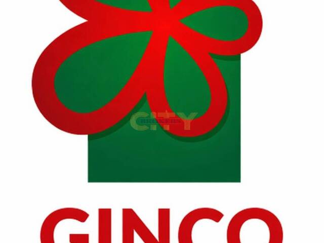 #1993 - Terreno para Venda em Várzea Grande - MT - 1