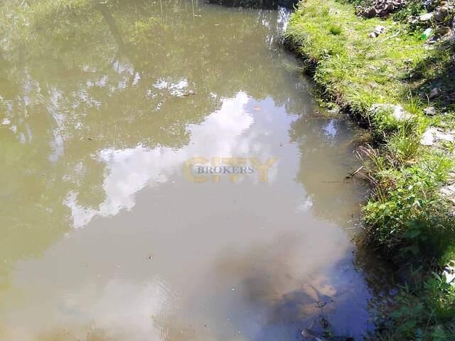 #2010 - Chácara para Venda em Nossa Senhora do Livramento - MT - 3