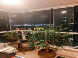 #35498 - Apartamento para Venda em Cuiabá - MT